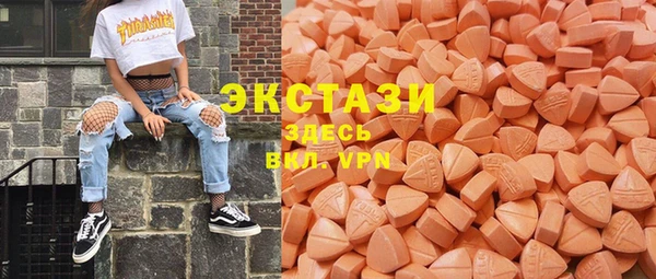 ECSTASY Инсар