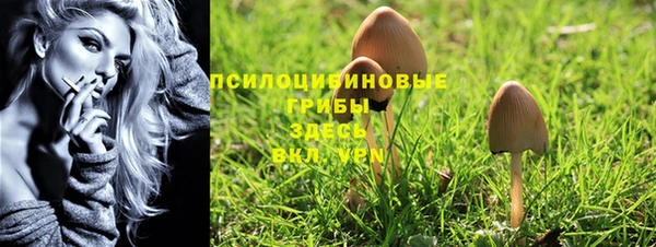 альфа пвп Покачи