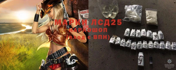 стаф Покровск