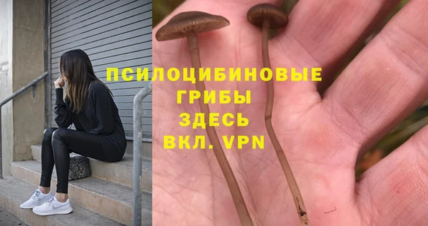 стаф Покровск