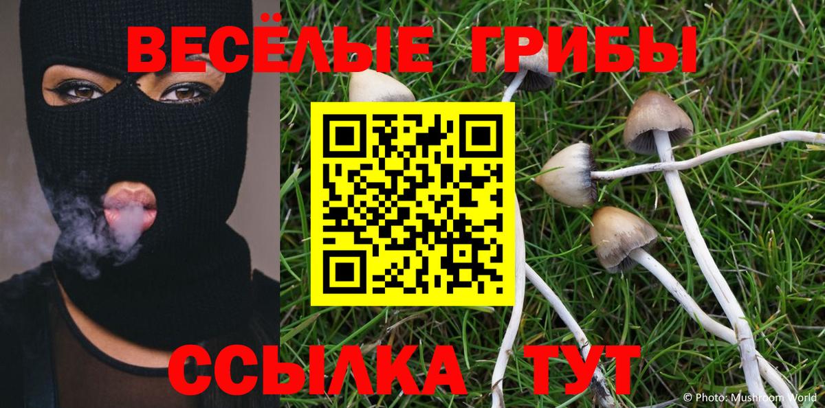 Галлюциногенные грибы Psilocybe  даркнет сайт  Вход с VPN  Богородск  Галлюциногенные грибы GOLDEN TEACHER 