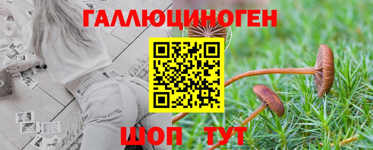 Псилоцибиновые грибы Cubensis  Богородск  как найти закладки  Галлюциногенные грибы ЛСД 
